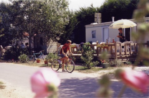 wmh05.jpg